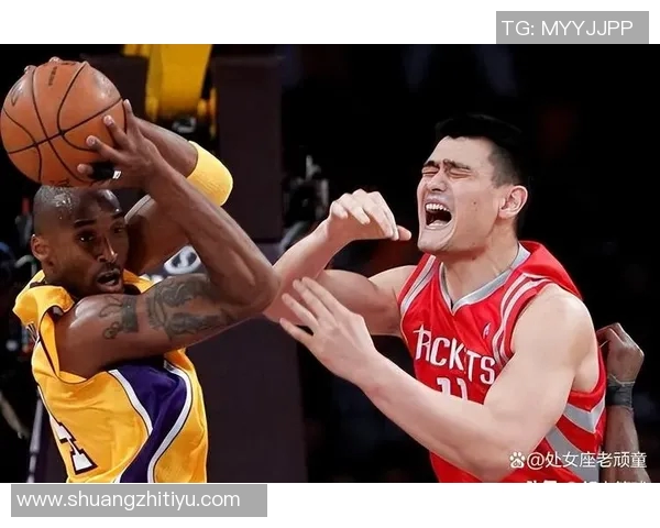 姚明在NBA季后赛中的表现与球队成就分析