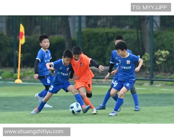 中国足球的魅力瞬间：记录绿茵场上的激情与梦想